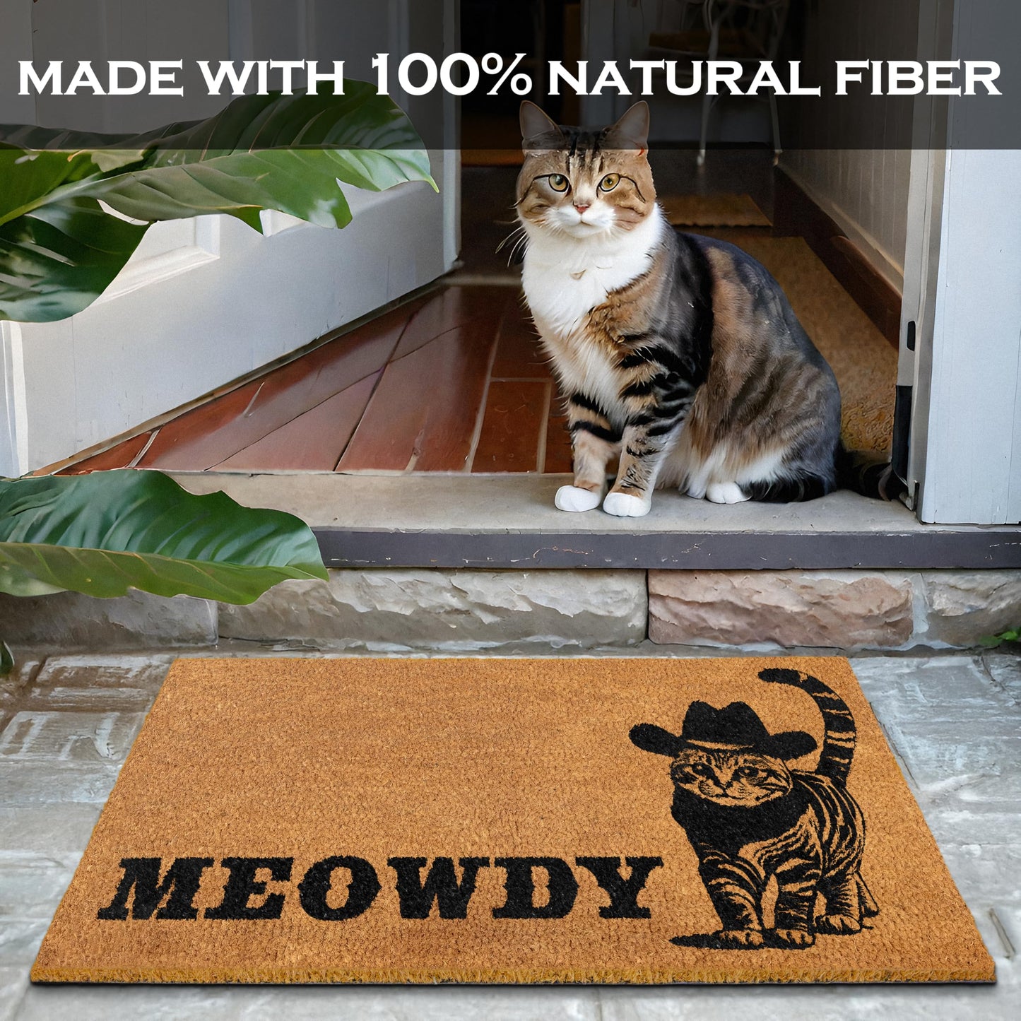 Meowdy Cat Doormat 30x17 Inch Coir Traps Dirt Durable Outdoor Mat For Cat Lovers